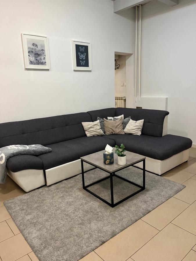 Apartment Nina ザグレブ エクステリア 写真